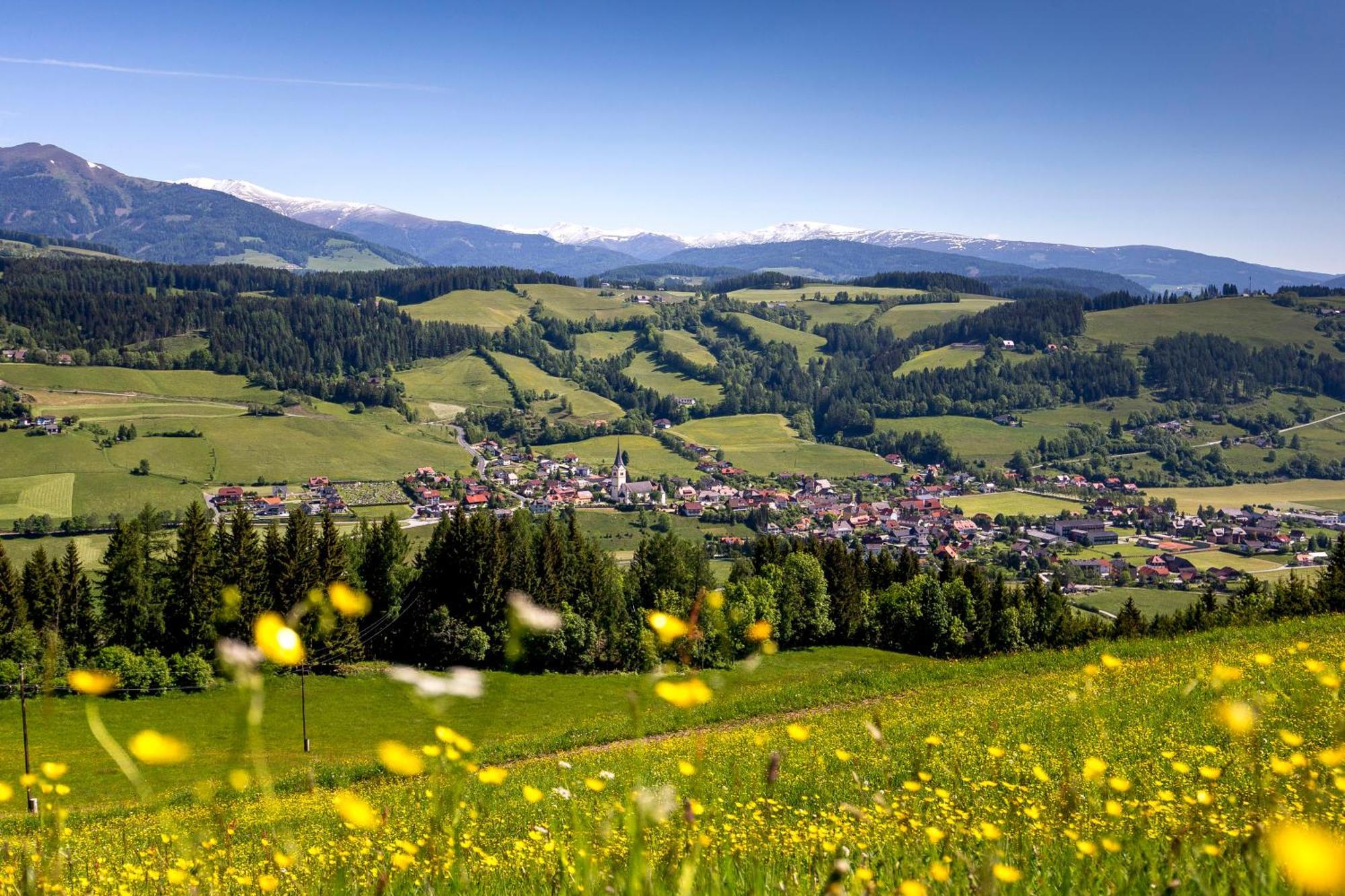 Naturpark Chalets Lambrecht By Alps Resorts Sankt Lambrecht Eksteriør bilde