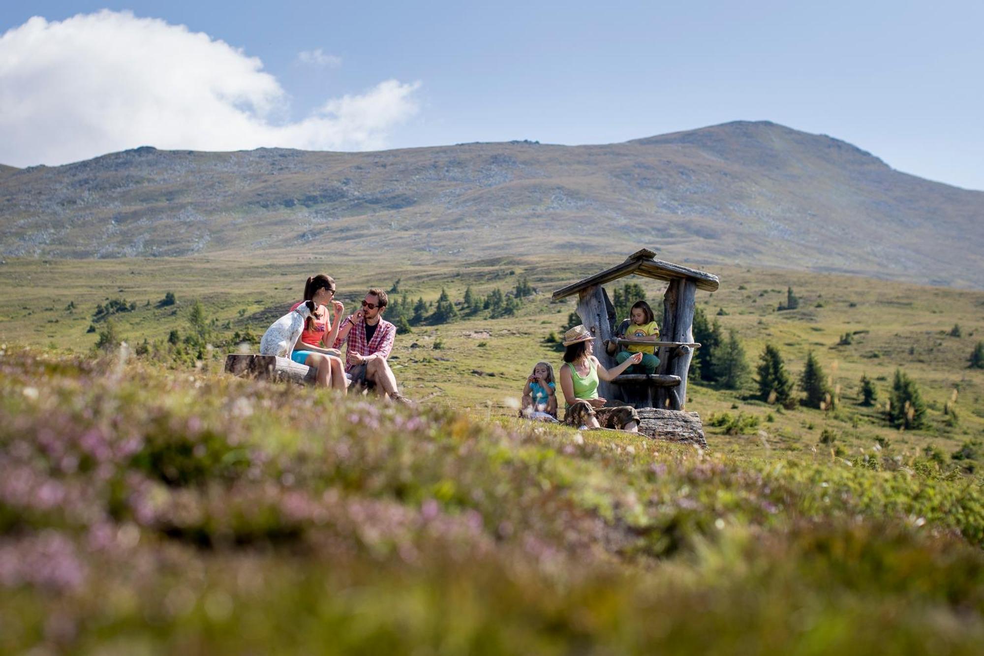 Naturpark Chalets Lambrecht By Alps Resorts Sankt Lambrecht Eksteriør bilde